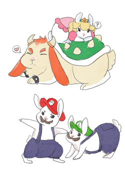 palolabun:Super Mario Buns X3