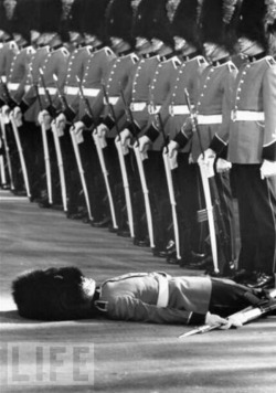 Member of British Honor Guard After Fainting During Ceremonies