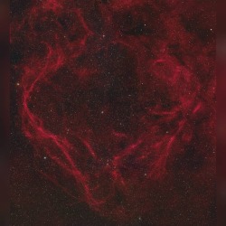 RCW 114: A Dragon’s Heart in Ara #nasa #apod #cosmiccloud