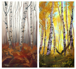 nikadonna: little forest studies based on photos by Chad Galloway