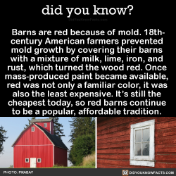 did-you-kno:  Barns are red because of mold. 18th- century American