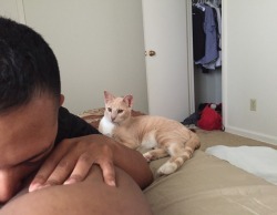 chakiya:  A picture of me getting my ass ate while my cat watches
