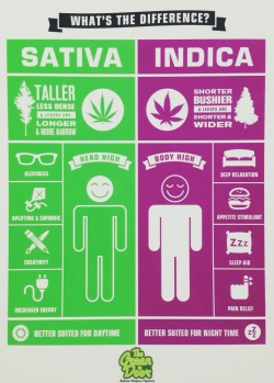 coralreefer420:  stoneyxochi:  do you know the difference? #thegreendoorsf
