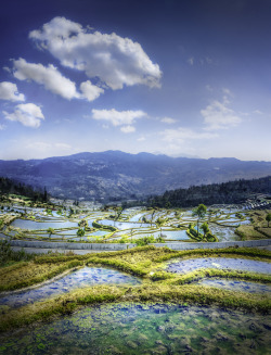 travelgurus:           Terraces of Yuanyang, China by Shong-Na