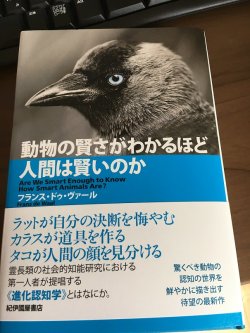 gkojax: Mika Ishiwataさんのツイート: この本買って読んでるけど面白くてどんどん進む。人間を基準に考えていると枠から出られないよね。動物たちのすごい能力の話がたくさん。かっこよくて尊敬しかない。