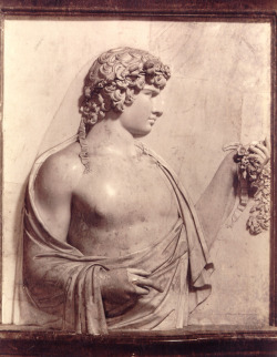 stonemen:  Antinous. Discovered at Villa Adriana in 1735. Collezione