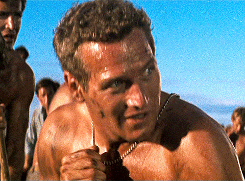 classicfilmblr:  Paul Newman as Luke JacksonCOOL HAND LUKE (1967),