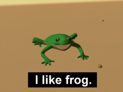 catsuggest: dailyfrogs: reblog this post if u, too, like frog.