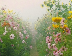 sqrtnegativeone:  i want to run along this in a pretty white