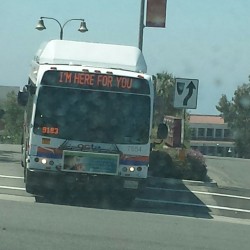 cleromancy:  i can’t decide if this bus is being supportive