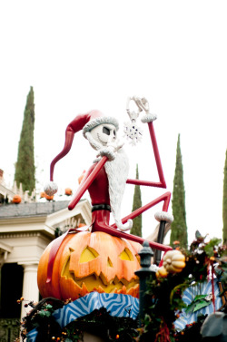 badlanz:  Jack Skellington at Disneyland.   