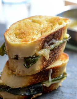 namelessin314:  sourdough grilled cheese with roasted poblanos,