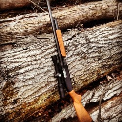 Opening day. Here Bucky Bucky. #mossberg #500 #hunting #deer
