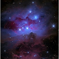 Reflections of the 1970s #orion #ngc1977 #ngc1975 #ngc1973 #nebulae