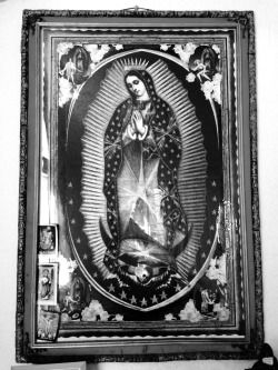 obnoxioux-one:  Nuestra Señora de Guadalupe
