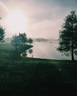 Good morning #nofilter  (at Randal Park at lake Nona)