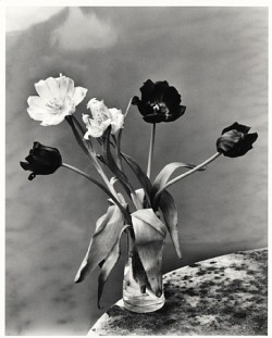 adreciclarte:  by Nobuyoshi Araki    Lovely