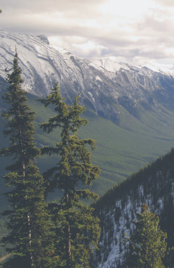 eartheld:  eartheld:  northernist:  bow river valley, part II.
