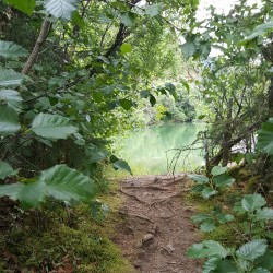 babiepetals:  i did not follow the signs along the hiking path