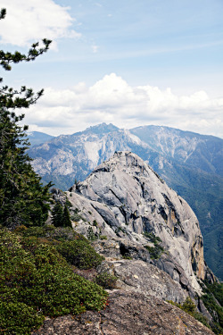 valeriemanne:  Sequoia National Park by Valerie Manne on Flickr.
