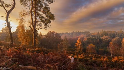 oneshotolive:  Rushmere Park, Bedfordshire, UK. [OC] 7000x3938