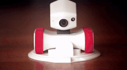 theverge:  This little sentry robot can patrol your home.