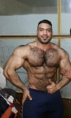 artux19:  muscleclube:    Iraqi alpha bull, Ali Hani    Like