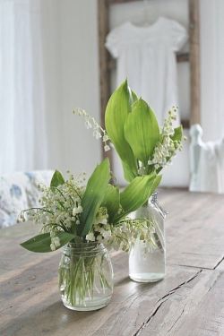 Lily of the Valley 💗