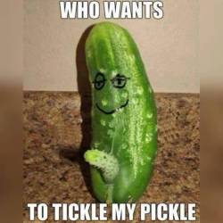 Everyone likes a little pickle tickle!!! 😏 🤣 😜 🥒