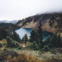 delta-breezes:@andrewgolesch