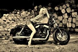 chicksandchoppers:  Sportster chick 