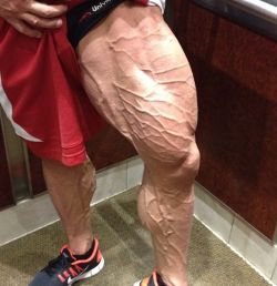 Muscle Motivation