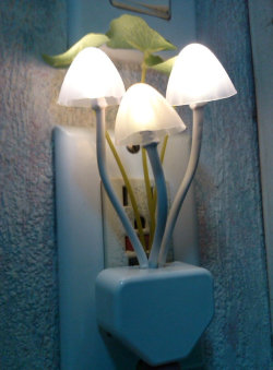 wickedclothes:    Mushroom Night Light Let the glow of the mushroom