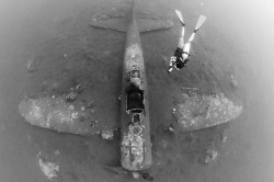 operationbarbarossa:  A Japanese Zero fighter plane on the bottom