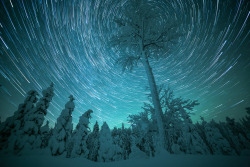 tiinatormanenphotography:  Cosmic tree. Jan 2015, Southern Lapland,