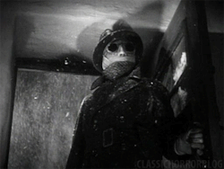 classichorrorblog:    The Invisible Man |1933| James Whale 