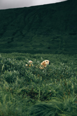 hannahkemp: Wondering around Alaska. Prints//Instagram 