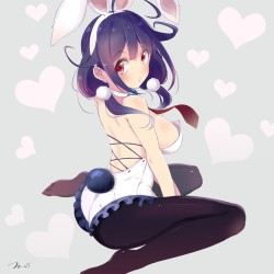 hentafutas22:  bunny