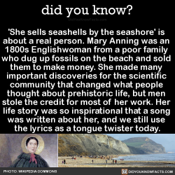 did-you-kno:‘She sells seashells by the seashore’ is  about