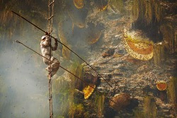 gaksdesigns:  The ancient art of honey hunting in Nepal.The Gurung