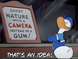gameraboy:  Donald’s Camera (1941) 