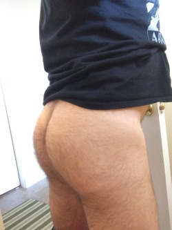 #bear #ass