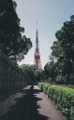 Tokyo Candid