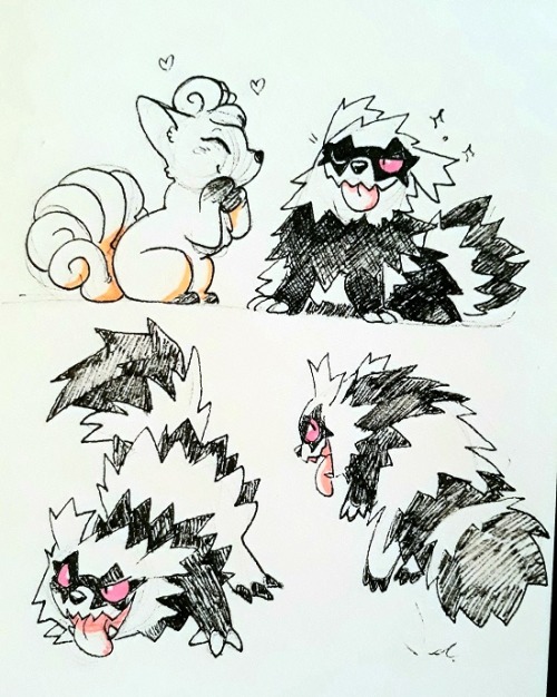 proteesiukkonen:  Galarian Zigzagoon is my goddamn jam. A perfect