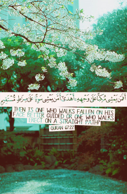 islamic-art-and-quotes:  Quran 67:22Originally found on: greenstar16