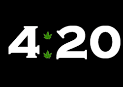 Into A Stoner's Mind!