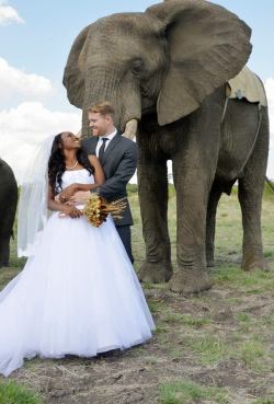 blackgirlwhiteboylove:  Our African Wedding  My wife and I just