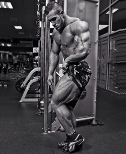 bodybuildingsblog:  Click here to follow us