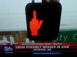 collegehumor:  Spokane, WA turns strangely hostile towards pedestrians. 