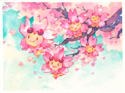 starstray:A bit late for cherry blossoms - even the yaezakura